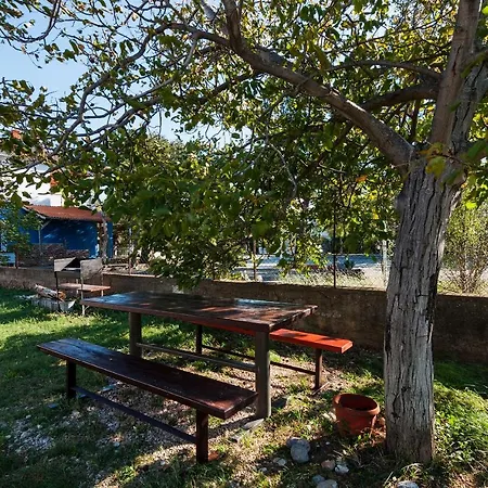 Apartamento Goga